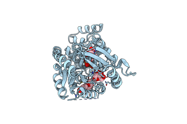 9KSV image
