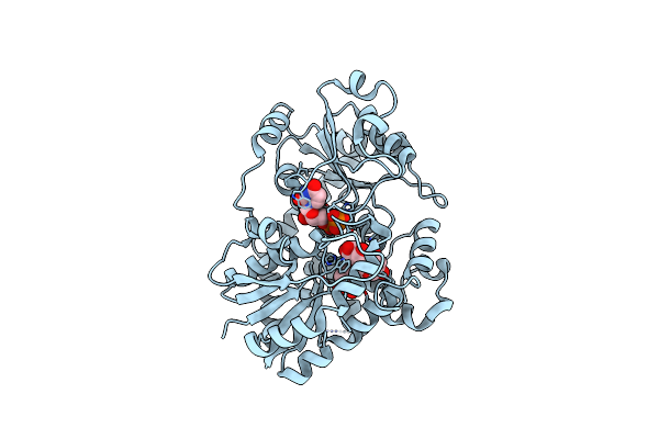 9KSX image