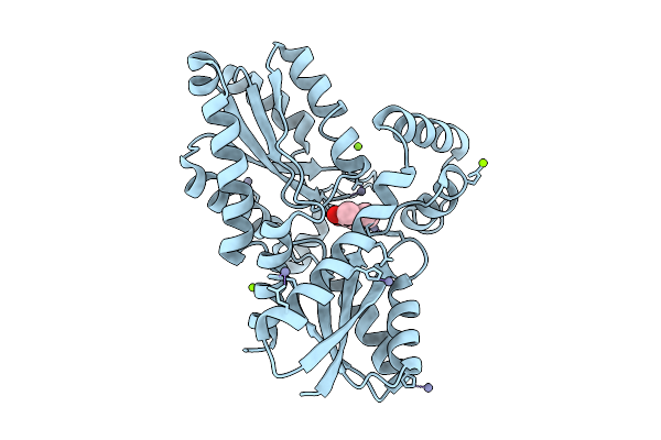 9KTH image