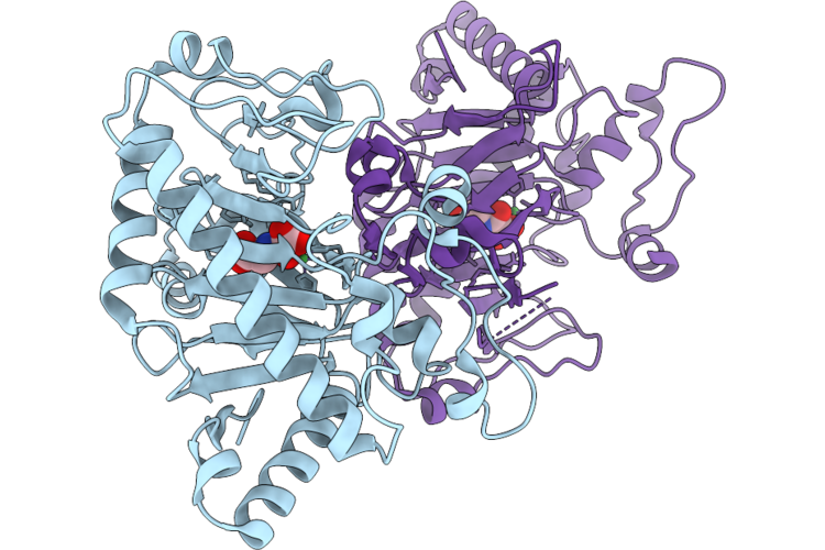 9KTP image