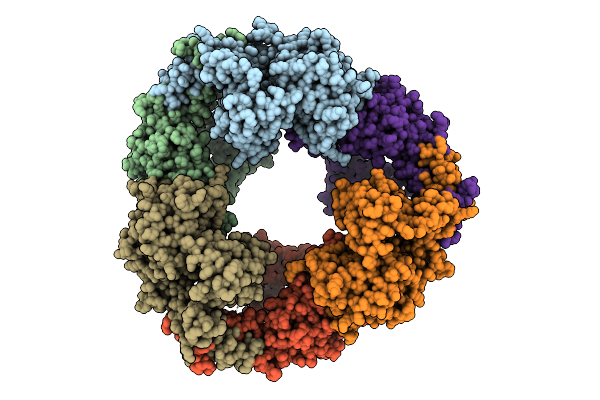 9KUB image