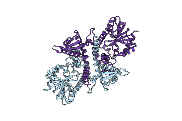 9KUS image