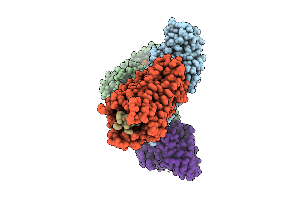 9KV6 image