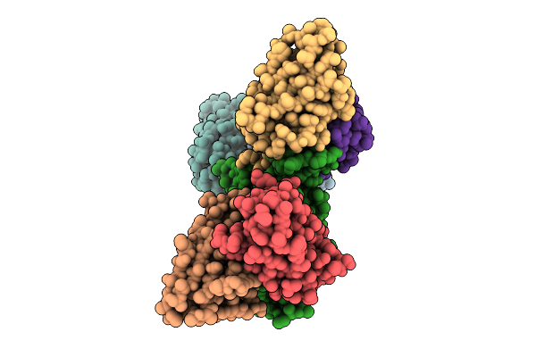 9KVD image