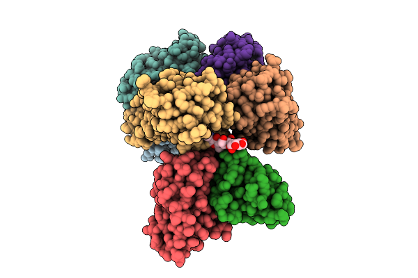 9KVK image