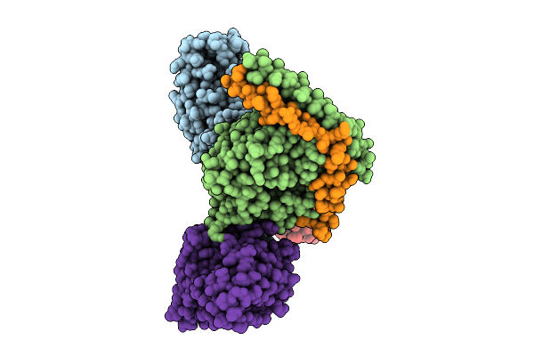 9KVP image