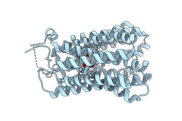 9KVV image