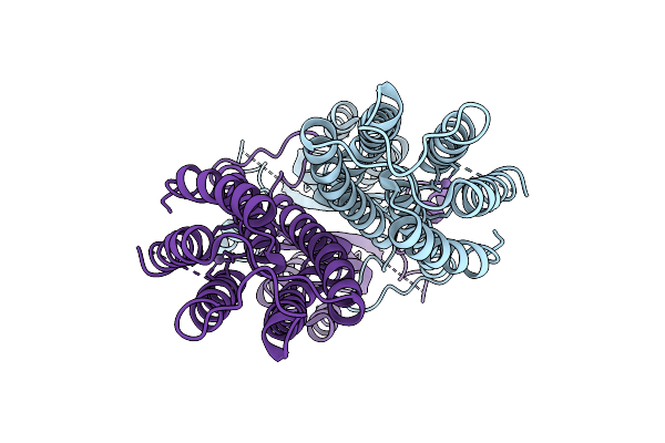 9KVX image