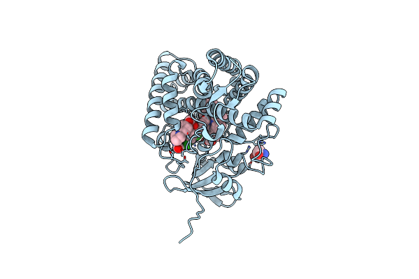 9KW2 image