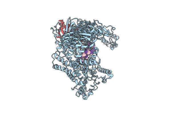 9KWB image