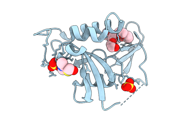9KXP image
