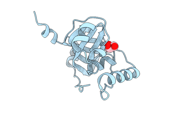 9KYK image