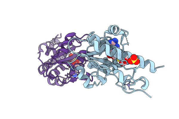 9KYT image