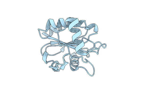 9KZM image