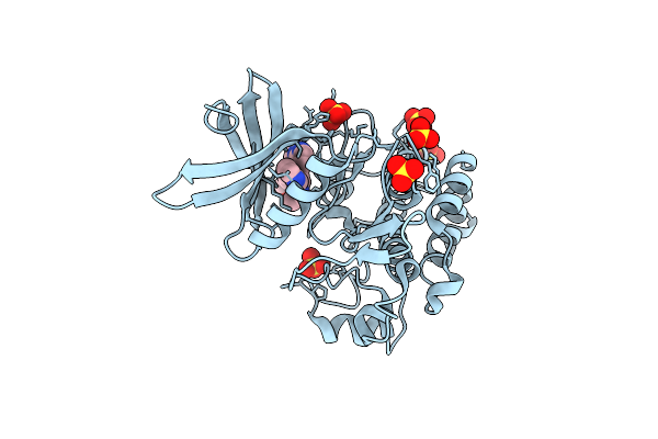 9L04 image