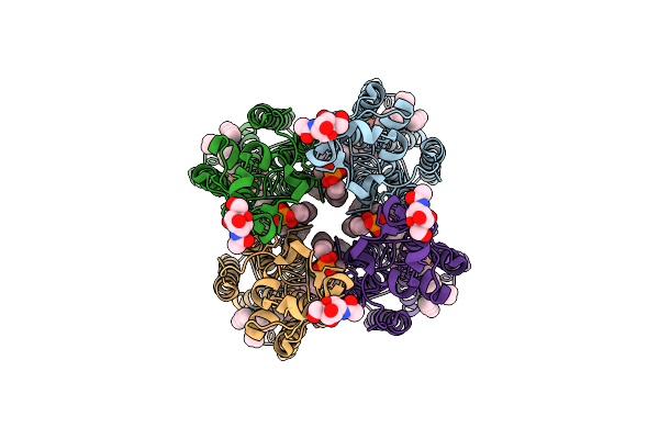 9L0I image