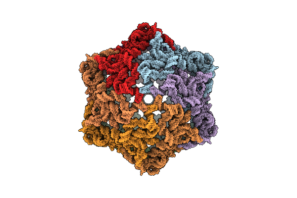 9L0R image