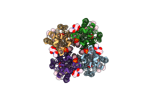 9L0S image