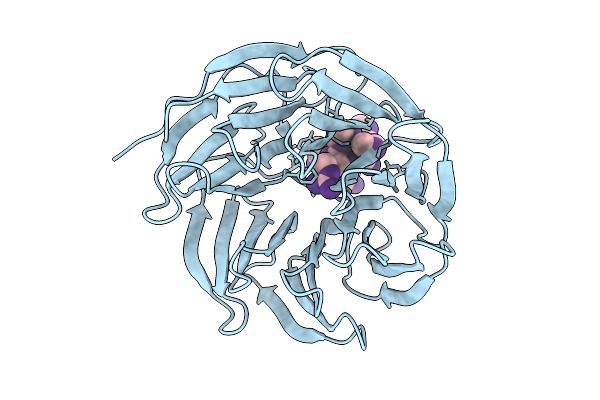 9L0V image