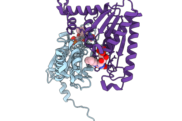 9L10 image