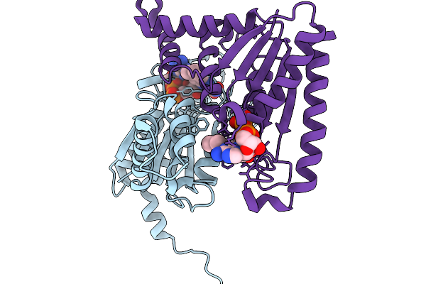9L11 image