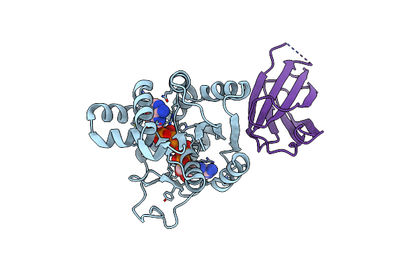 9L14 image