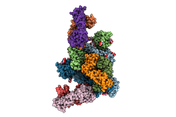 9L15 image