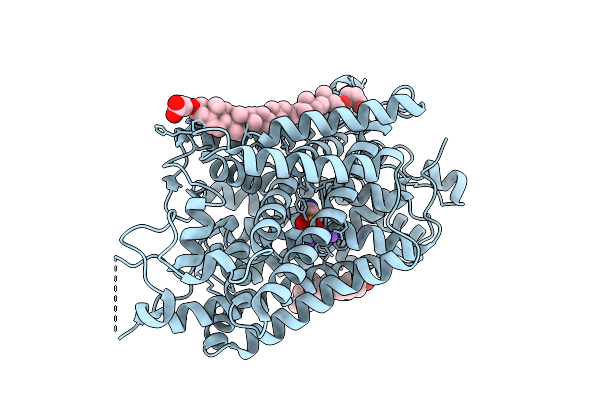 9L1B image