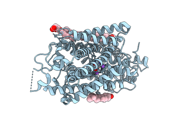 9L1C image