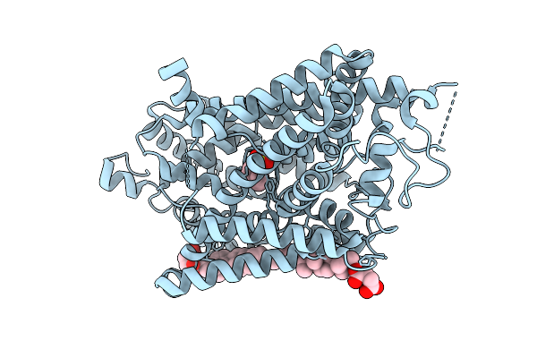 9L1D image