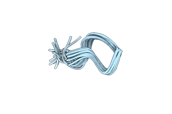 9L1M image