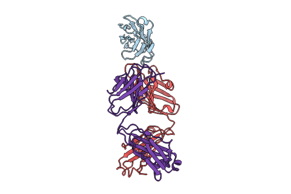 9L1O image