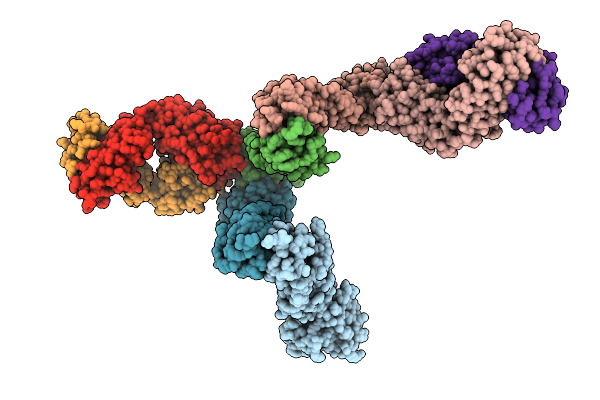 9L1Q image