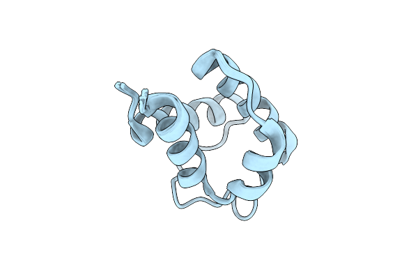 9L1V image