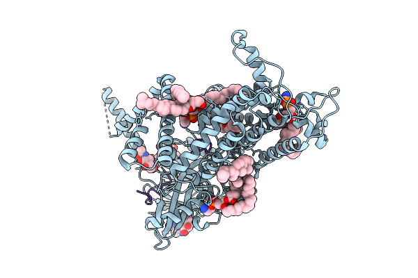 9L20 image