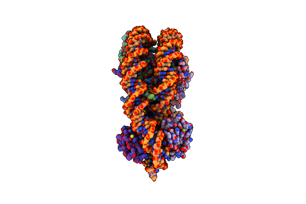 9L22 image