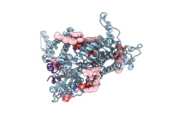 9L23 image