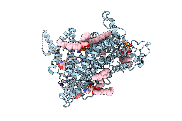 9L24 image