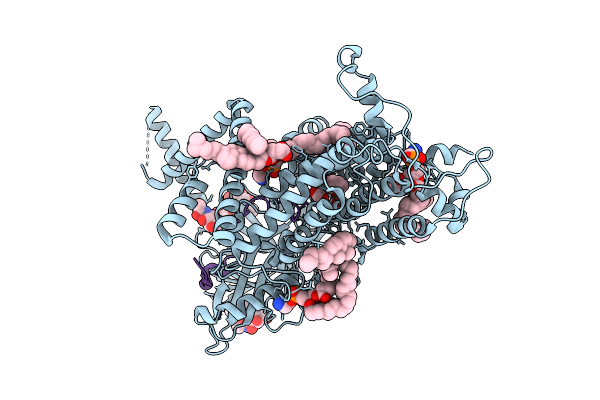 9L25 image