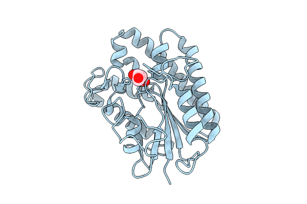 9L27 image
