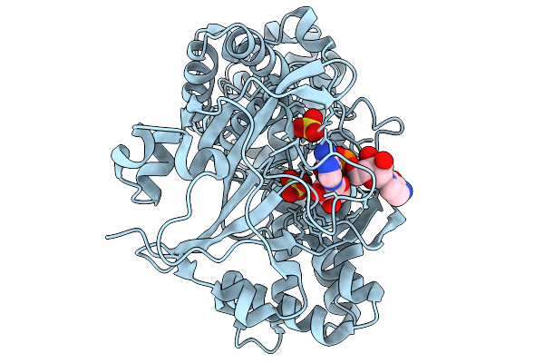 9L29 image