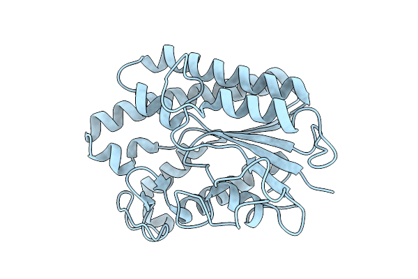 9L2A image