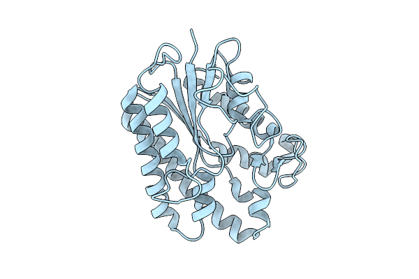 9L2B image