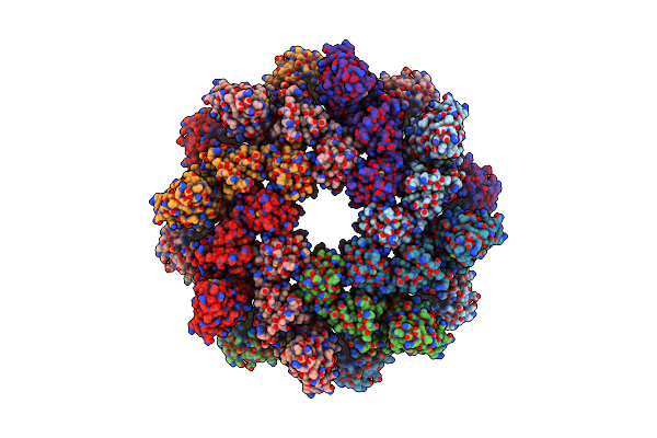 9L2D image