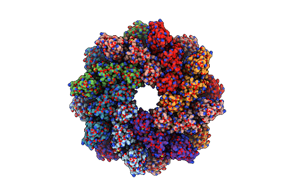 9L2G image