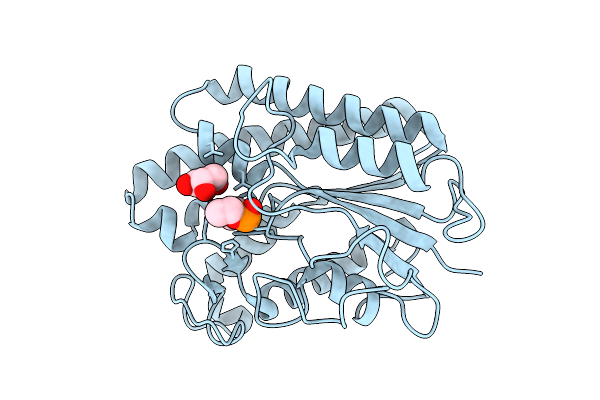9L2H image
