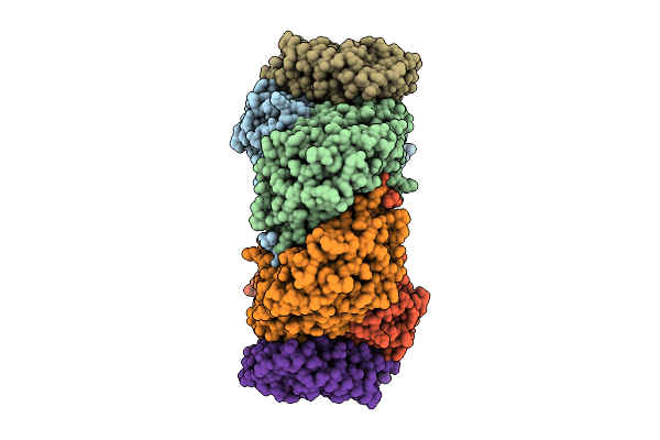 9L2I image