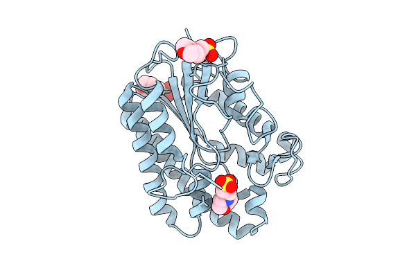 9L2J image