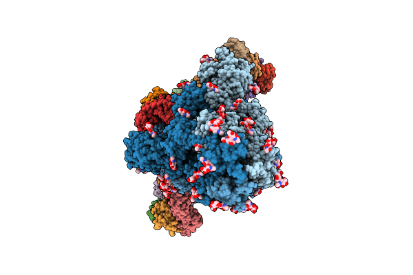 9L2L image