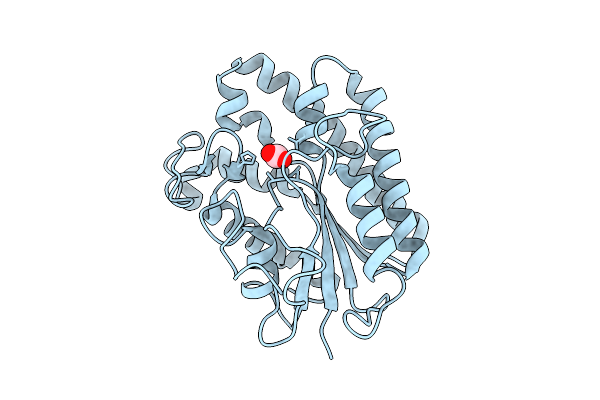 9L2M image